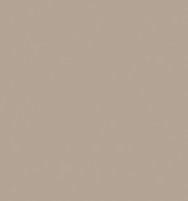 TAUPE 2165 (FORMICA) product image thumb